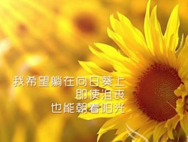 早上发朋友圈的句子可吸引人(精选38句)